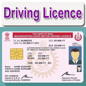 DRIVING LICENCE